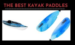 The Best Kayak Paddles