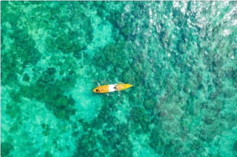 Kayaking Rules